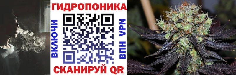 Бошки Шишки THC 21%  Котово 
